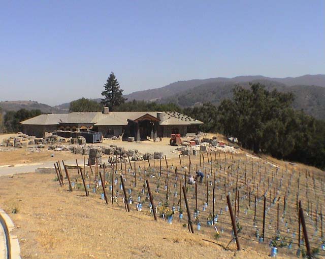 vineyard48int.jpg